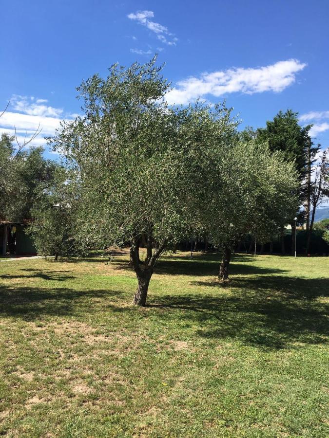 Fragolina Per Due Villa Lucca Luaran gambar